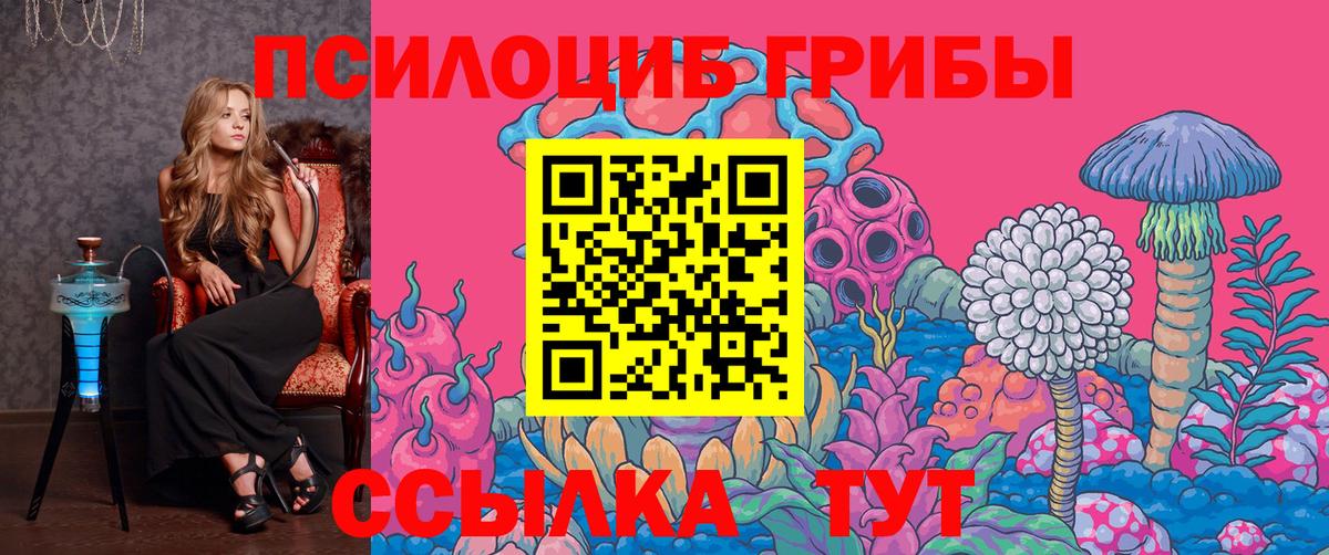 Шали  Галлюциногенные грибы Cubensis  Вход с VPN 